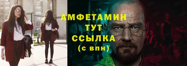гидра Аркадак