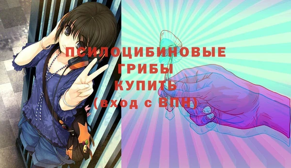 гидра Аркадак