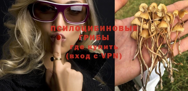 гидра Аркадак