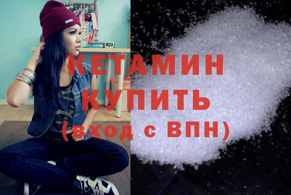 прущие грибы Надым