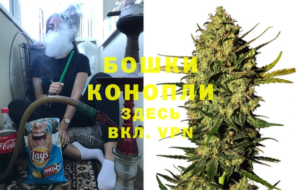 гидра Аркадак